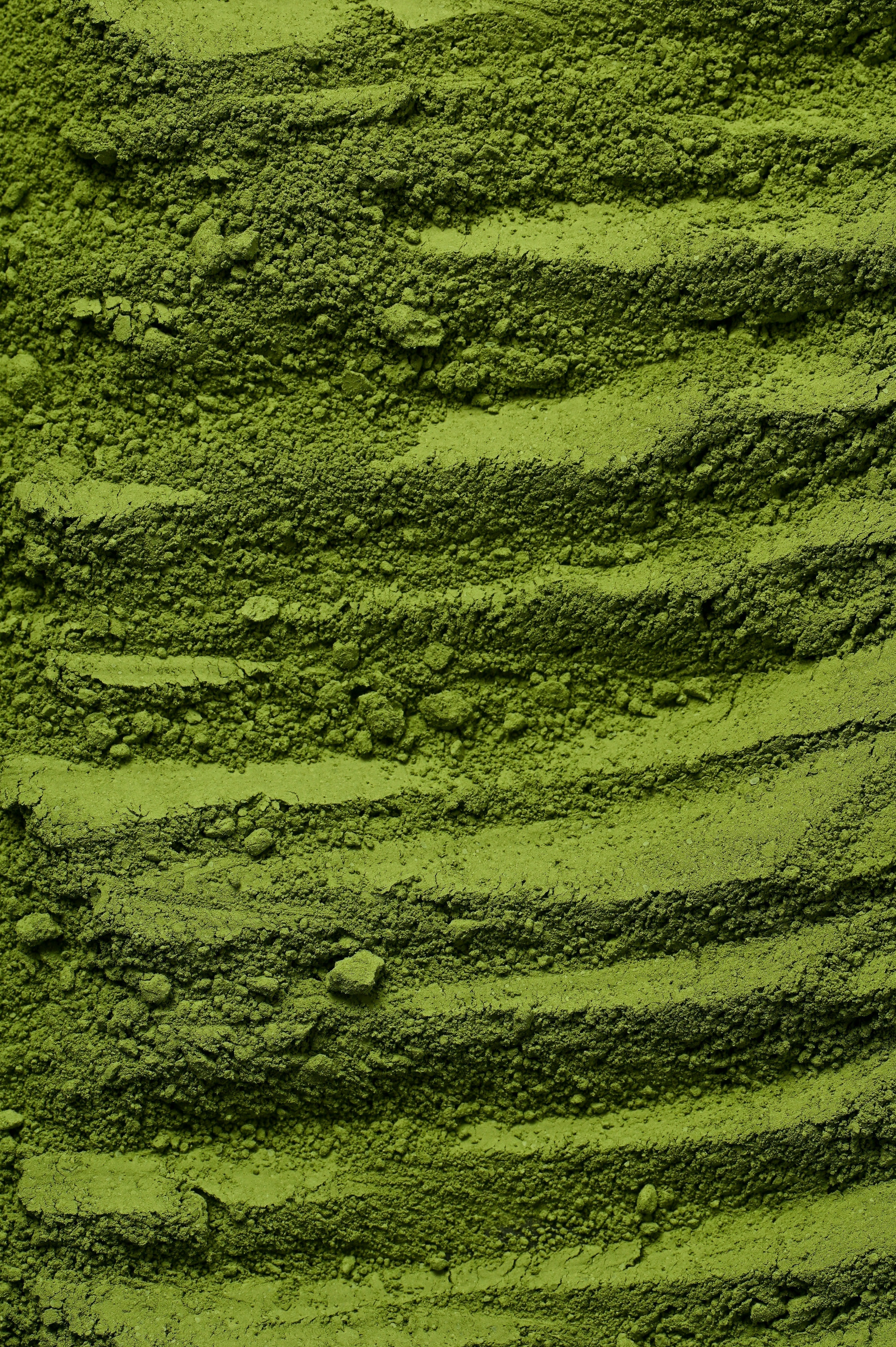 Moringa Leaf Powder: Possible Side Effects and Considerations