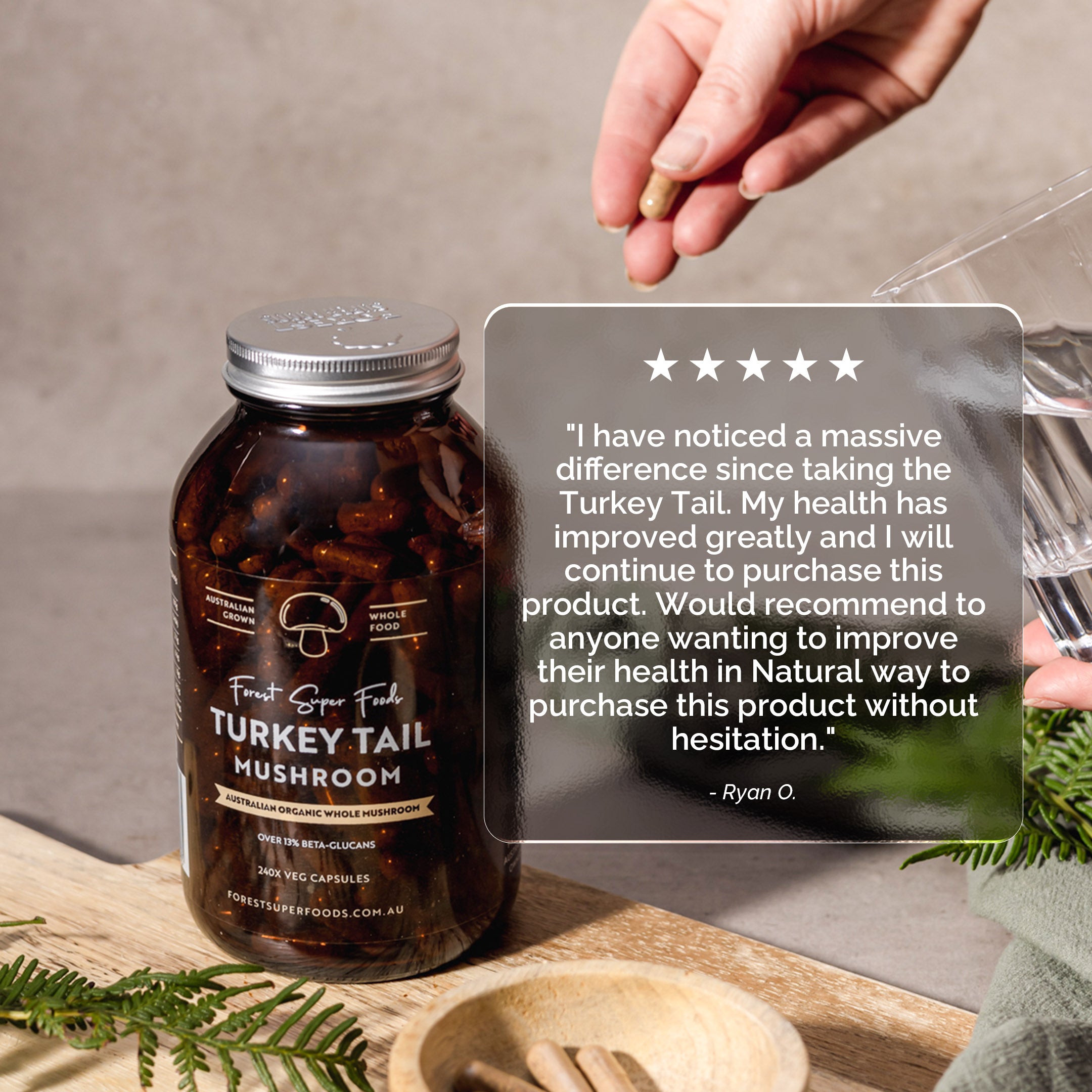 Australian Grown Turkey Tail Capsules by Forest Super Foods with freeze-dried whole mushrooms for gut resilience and immune support