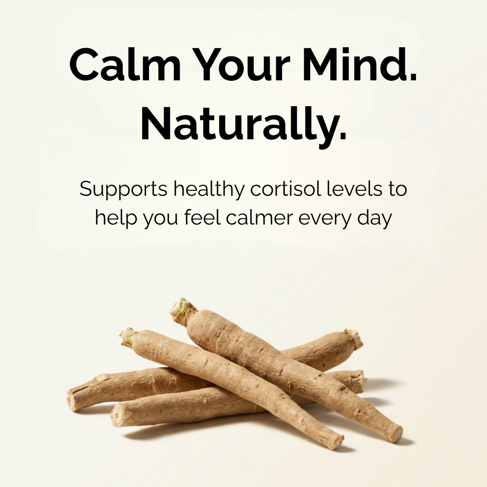 Most Popular Capsules Stack