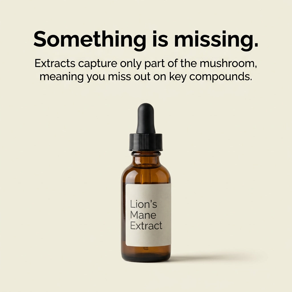 Most Popular Capsules Stack