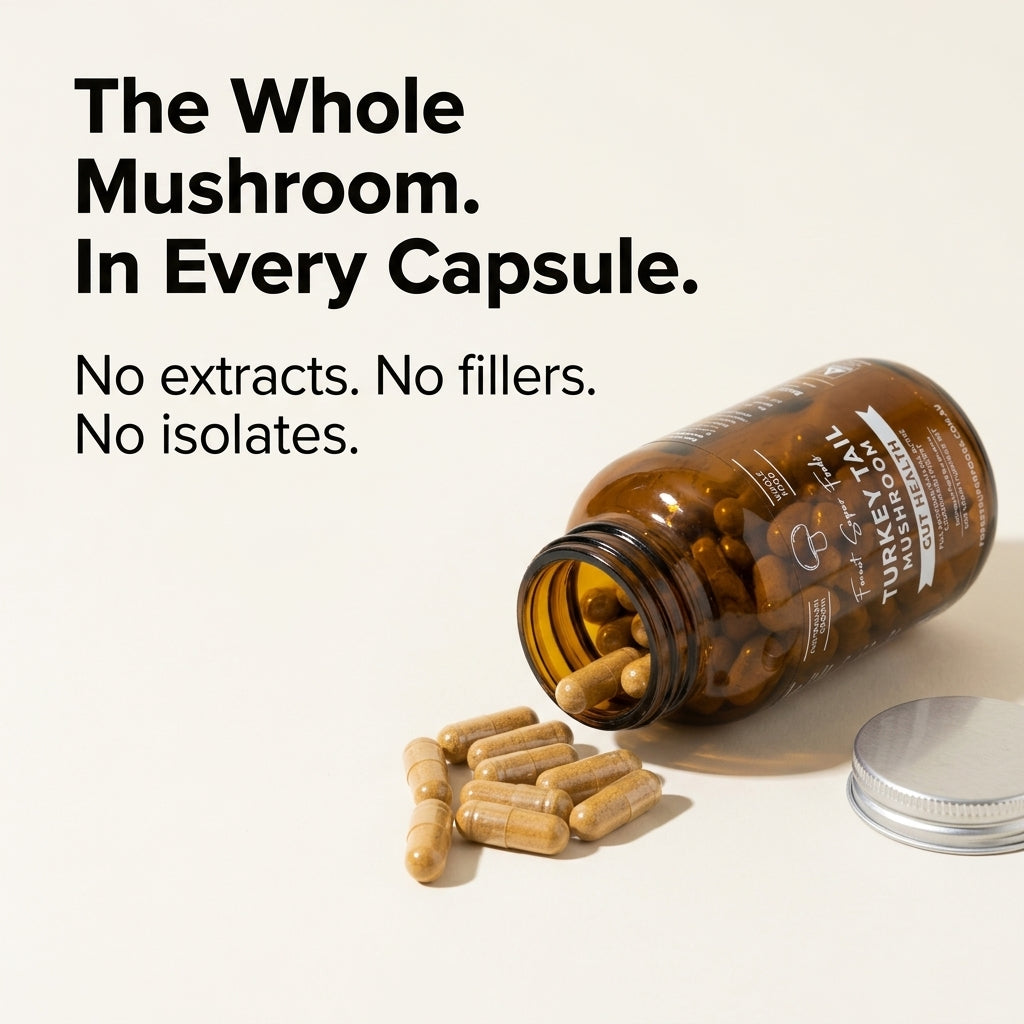 Turkey Tail capsules with text about whole mushroom capsules. No extracts. No fillers.