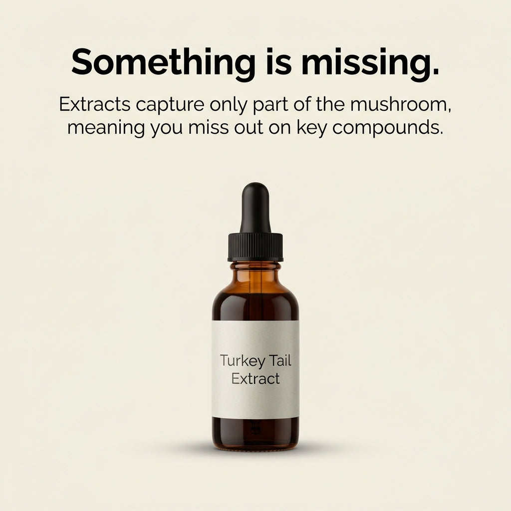 Australian Grown Turkey Tail Capsules