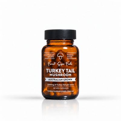 Mini Turkey Tail Capsules