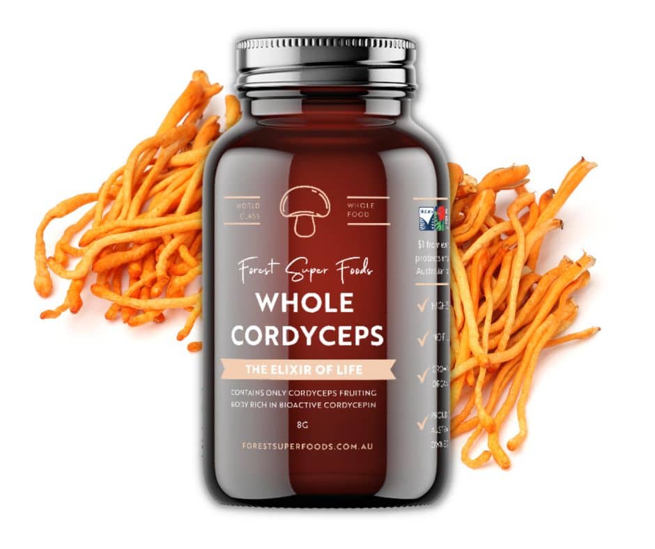 Energy Booster Bundle featuring Forest Super Foods Whole Cordyceps bottle with fresh orange cordyceps mushrooms