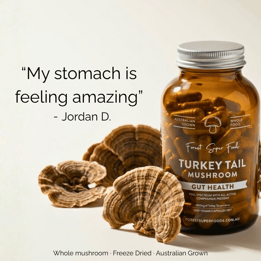 Australian Turkey Tail Mushroom Capsules | FSF